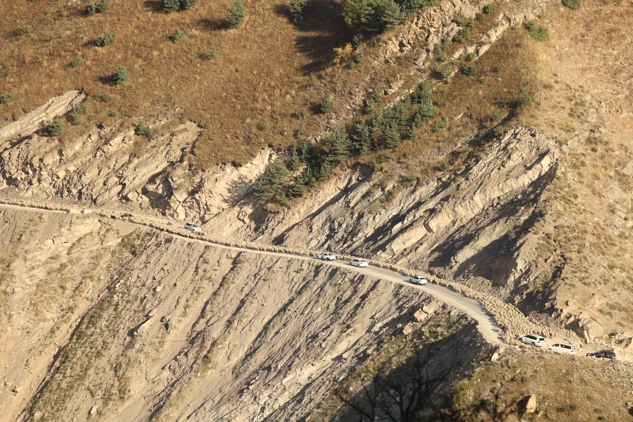 Road Terrain